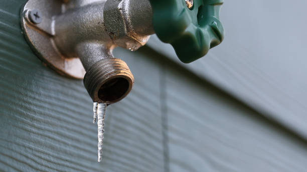 Best Local Plumber Services  in Elkland, PA